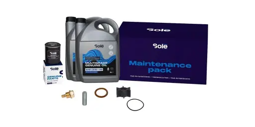 [17340116] Pack Mant. 250H MINI-44 (Motor y Grupo)